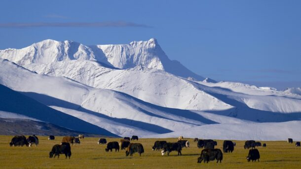 Tibetan Landscape with Mountains